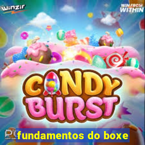 fundamentos do boxe